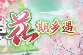 这条线路入选！来泰安踏春赏花，邂逅乡村风光图片