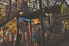 公园滑滑梯缺乏照明，摸黑玩耍有隐患！管理部门：正安排加装路灯图片