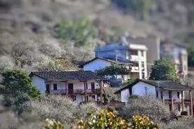 县城的房子到底能不能买？有哪些坑需要避免？图片