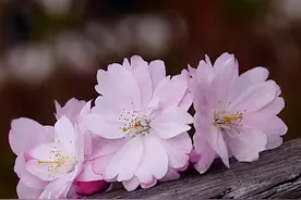 男女交往：纠缠一个不爱你的人，不如做好3件事图片