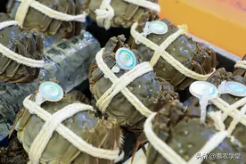 9月金秋旺季，大闸蟹为何卖不动了？目前大闸蟹多少钱一斤？图片