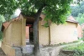 种花不如种树，6种名贵树，可遇不可求，种上1棵都能当“传家宝”图片