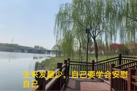 贵人不顶重发图片