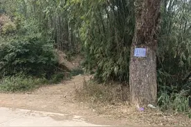 广西容县石寨镇鬼斧神工，大自然之阳石山、阴石洞山驴友路线攻略图片