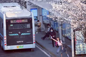 武汉新增10条赏樱定制公交线路图片