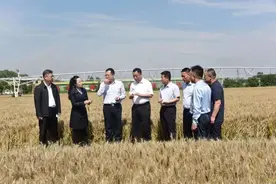 张水利检查“三夏”工作落实情况图片