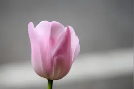 及时止损，是中年人应有的自律图片