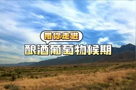 带你走进酿酒葡萄物候期图片