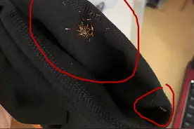 消费者新买的衣服上有大量蚂蚁，爱库存平台回应：沟通协商补偿消杀费用图片