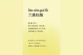 小众高级的四字词语，助你的表达更上层楼！图片