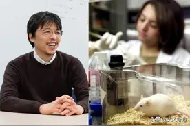 大风编译 | 男人生娃不是梦？日科学家让两只雄性老鼠“产仔” 从雄性细胞中培育出卵子图片