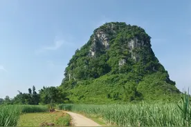 揭开“国保”神秘面纱之“消失的巨人”图片