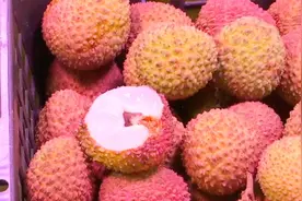 荔枝味美不宜贪多 警惕“荔枝病”图片