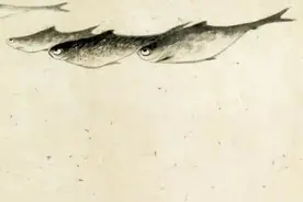 ​八大山人（朱耷）画鱼，年年有余！图片