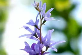 男女交往的至高境界：相处不累图片