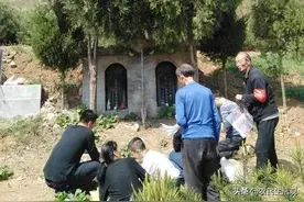 老俗语“坟头三树生，家中人丁旺”，说的是哪三树？图片