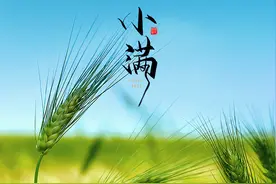 小满丨物致于此，小得盈满图片