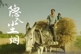 《隐入尘烟》：西北大地种不出玫瑰，小麦印花是我最汹涌的爱意图片