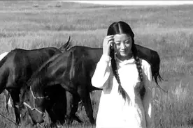 知青在草原上的“性”尴尬图片