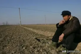 工业如何反哺农业？20年前和现在比粮食价格相差这么大图片