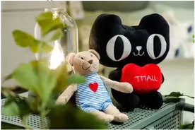 天猫更名转自营？无可能，更无必要图片