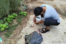 禁渔禁猎后，农村又开始严查电捕蚯蚓！抓蚯蚓有啥用？为啥禁捕？图片