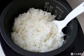 电饭煲选购指南 | 干饭人该买电饭煲还是电压力锅？有什么区别？图片