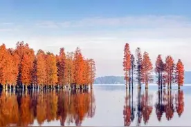 在日本年收入1000万日元不算富裕阶层！有多少钱才算富裕阶层呢？图片