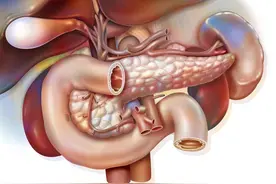 胰腺就是脾！还有人不知道吗？调理好血糖才能停药图片