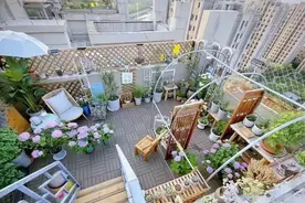 老公图便宜买顶楼带35㎡露台，入住1年后，被网友喊：愿意多花20万，快搬出去图片