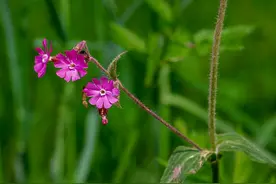 命中注定的人，迟早会相遇图片