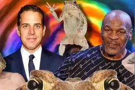 听说美国的蟾蜍，都快被瘾君子们给舔灭绝了？图片