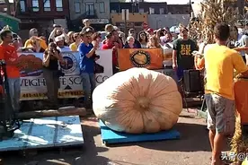 世界十大非比寻常的吉尼斯纪录图片