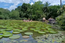 2022年暑期云南游（6）图片