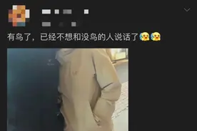 “有始祖鸟了，再也不想跟没鸟的说话了”图片