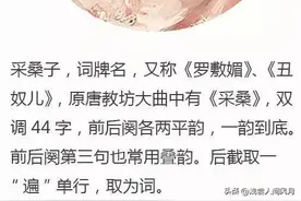 那些出自唐教坊乐曲的词牌名（续）图片