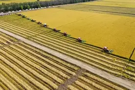 北粮南运背后的隐忧图片