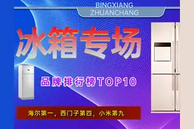 2023年冰箱品牌排行榜：海尔第一，西门子第四，小米排名满意吗？图片