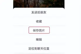 手机相册里这些照片不能存图片