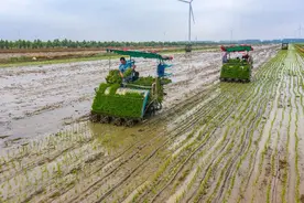 身边的榜样｜崔树林：生态循环农业让农民走上致富路图片