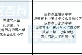 成都小升初划片哪里最优？图片