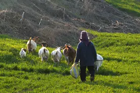 一个人最好的状态：眼里能容沙子，心里能埋委屈，肩上能扛压力图片