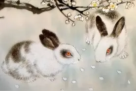 十二生肖属兔人的婚配配对，幸福婚姻看过来图片