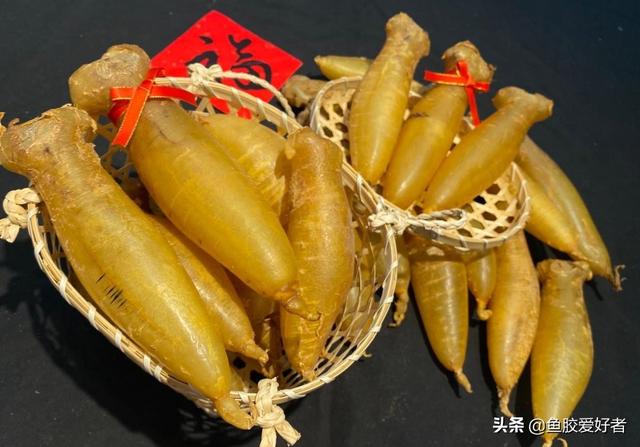 鳕鱼胶和鳘鱼胶哪个胶质好 2026年鳕鱼胶和鳘鱼胶哪种好