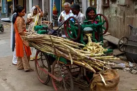 你吐掉的甘蔗渣，到印度为啥变成年入百万“摇钱树”？能效仿吗？图片