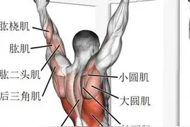 正手引体和反手引体的区别，正手引体更难？图片