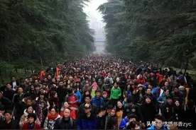 五一连休5天被骂上热搜，为何调休政策频遭吐槽？图片
