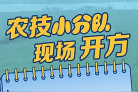 衡水安平：农技小分队现场“开方”图片
