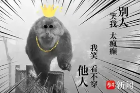 峨眉山猴子的好日子要到头了?图片
