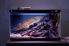 小米推出米家智能鱼缸，众筹价349元图片